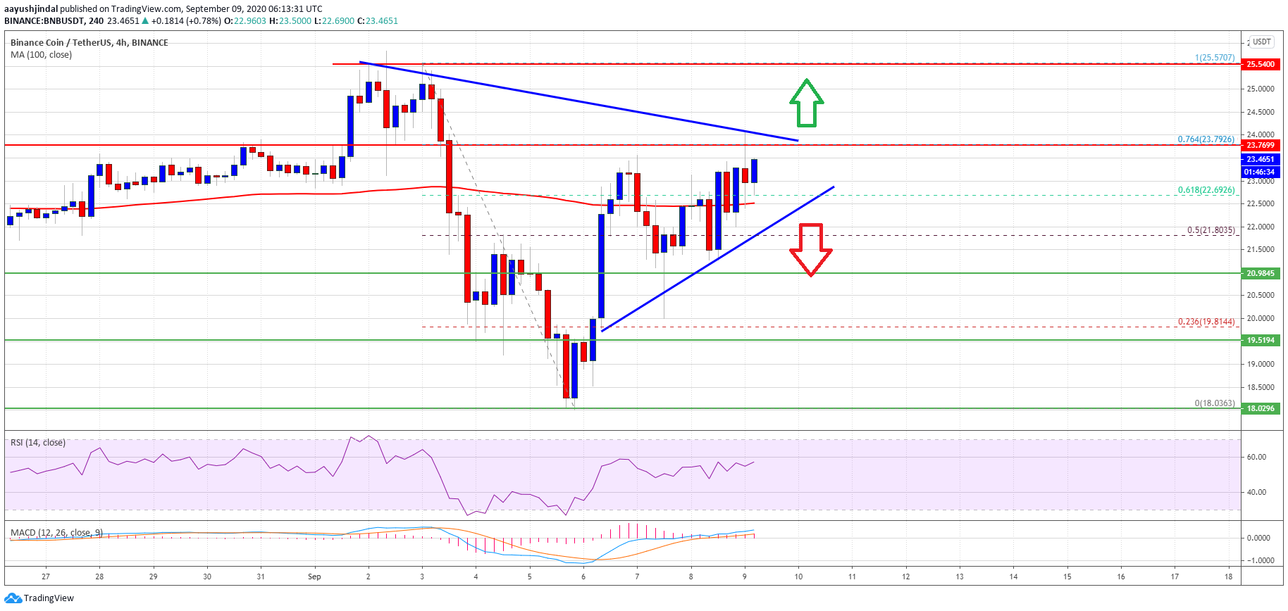 Binance Coin (BNB)