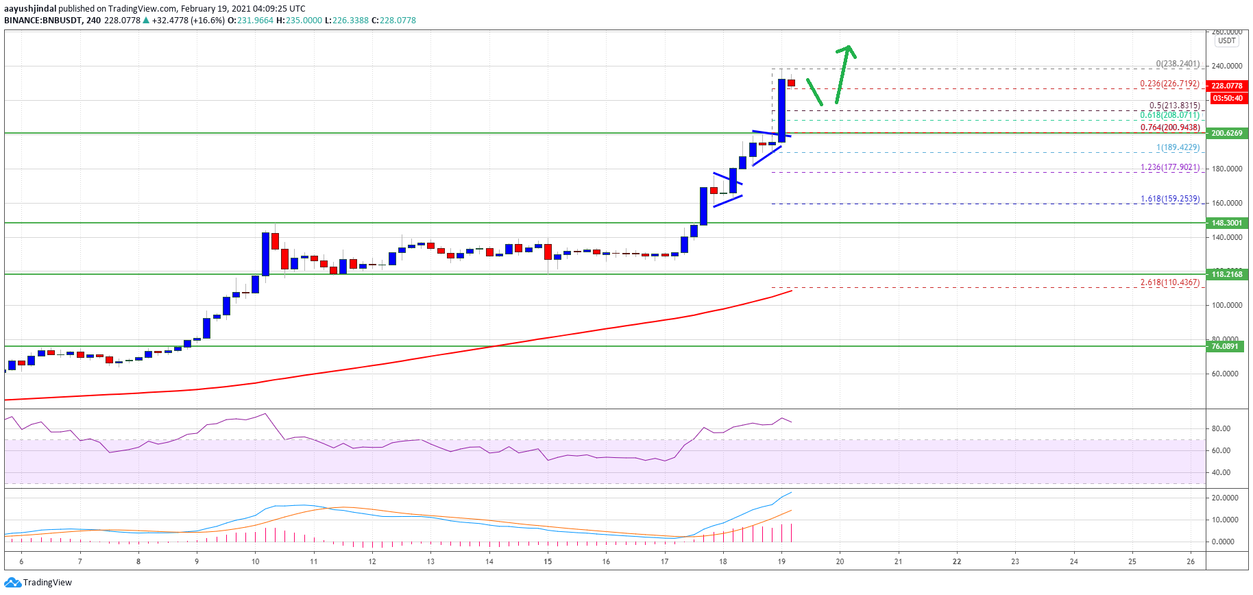 Binance Coin (BNB)