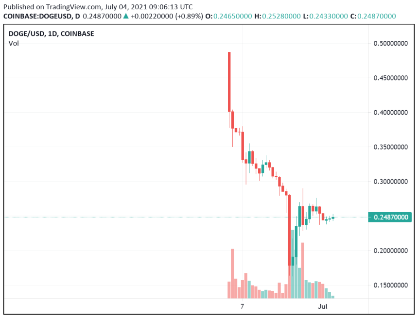 Musk's "Baby Doge" Tweet Spikes Dogecoin Price