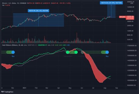 chart showing bitcoin hash ribbons