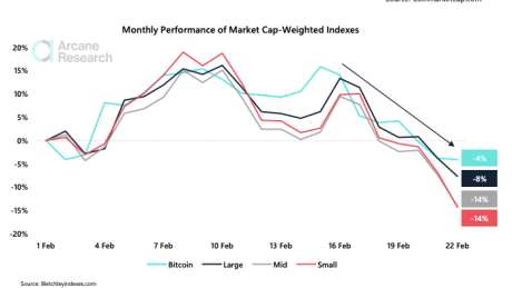 Chart showing bitcoin and indexes performance