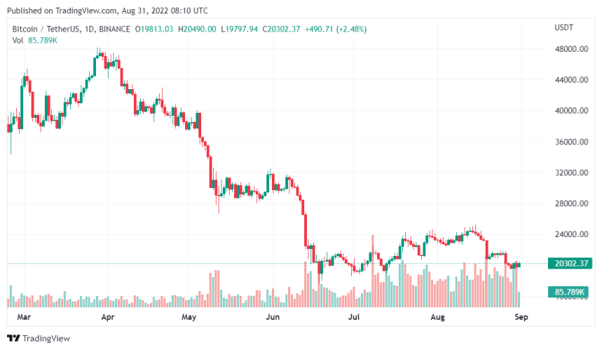 Bitcoin Reclaims The $20,000 Throne While Ethereum Rises On The Chart