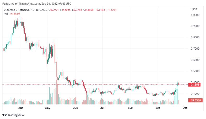  Algorand Registers Significant Gains Amid Crypto Winter