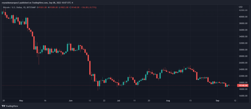 btc bitcoin price