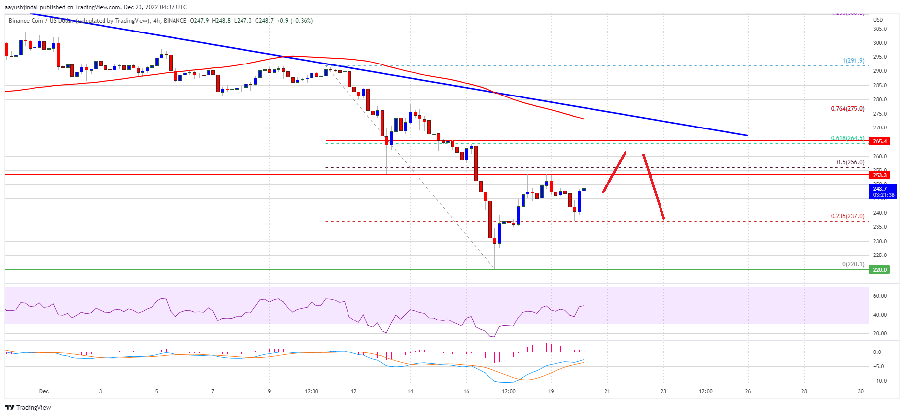 Binance Coin Price BNB