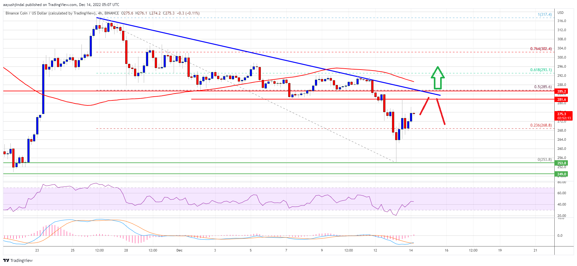 Binance Coin Price BNB