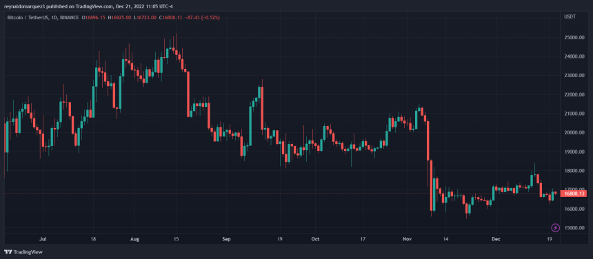 bitcoin collapsed