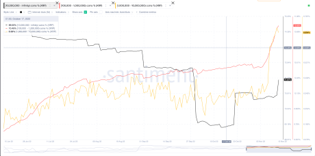 XRP whales