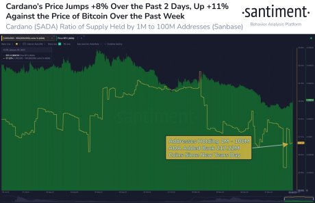 Cardano (ADA)