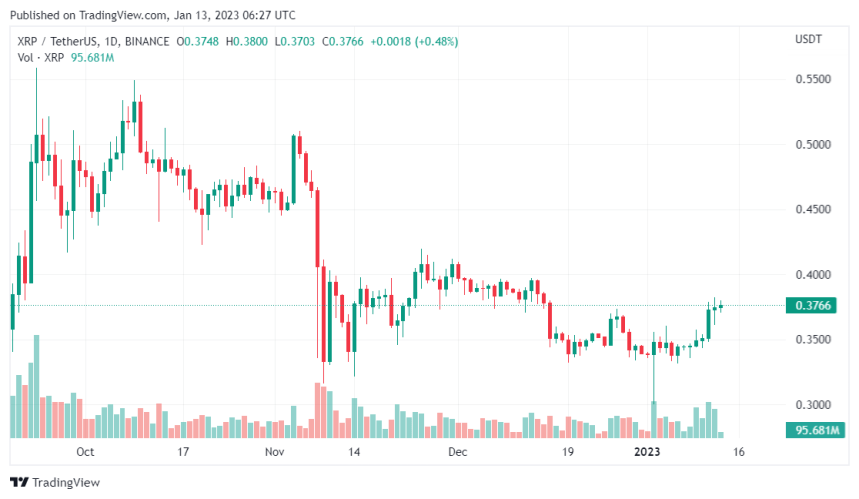 XRP Price Goes Upward With Increasing Whales Activity