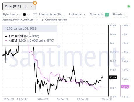 bitcoin large whales 20,000 BTC