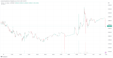 BTC trending in the mid $28,000s | Source: BTCUSD on TradingView.com El Salvador