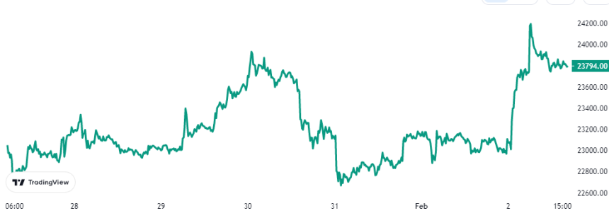 Bitcoin Price Chart