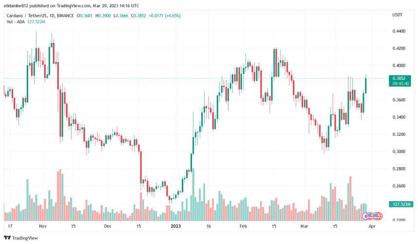 On-Chain Data Suggests Cardano Displaying Significant Growth As Price Hikes