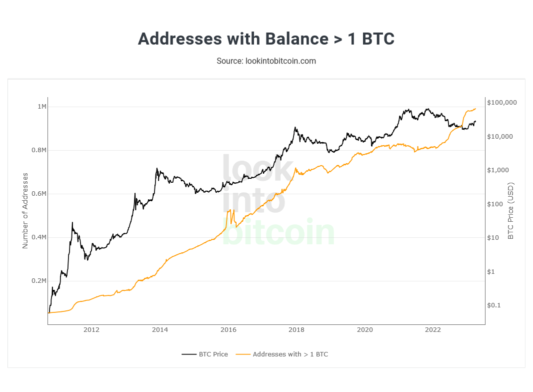 Bitcoin Wallet Sizes More Than 1 BTC Look Into Bitcoin