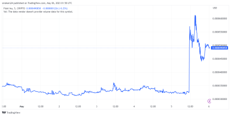 Floki Inu Priced Spiked as high as 60% following Binance listing: source @Tradingview