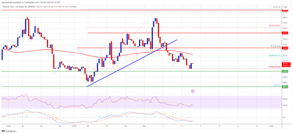 BNB Price Prediction 