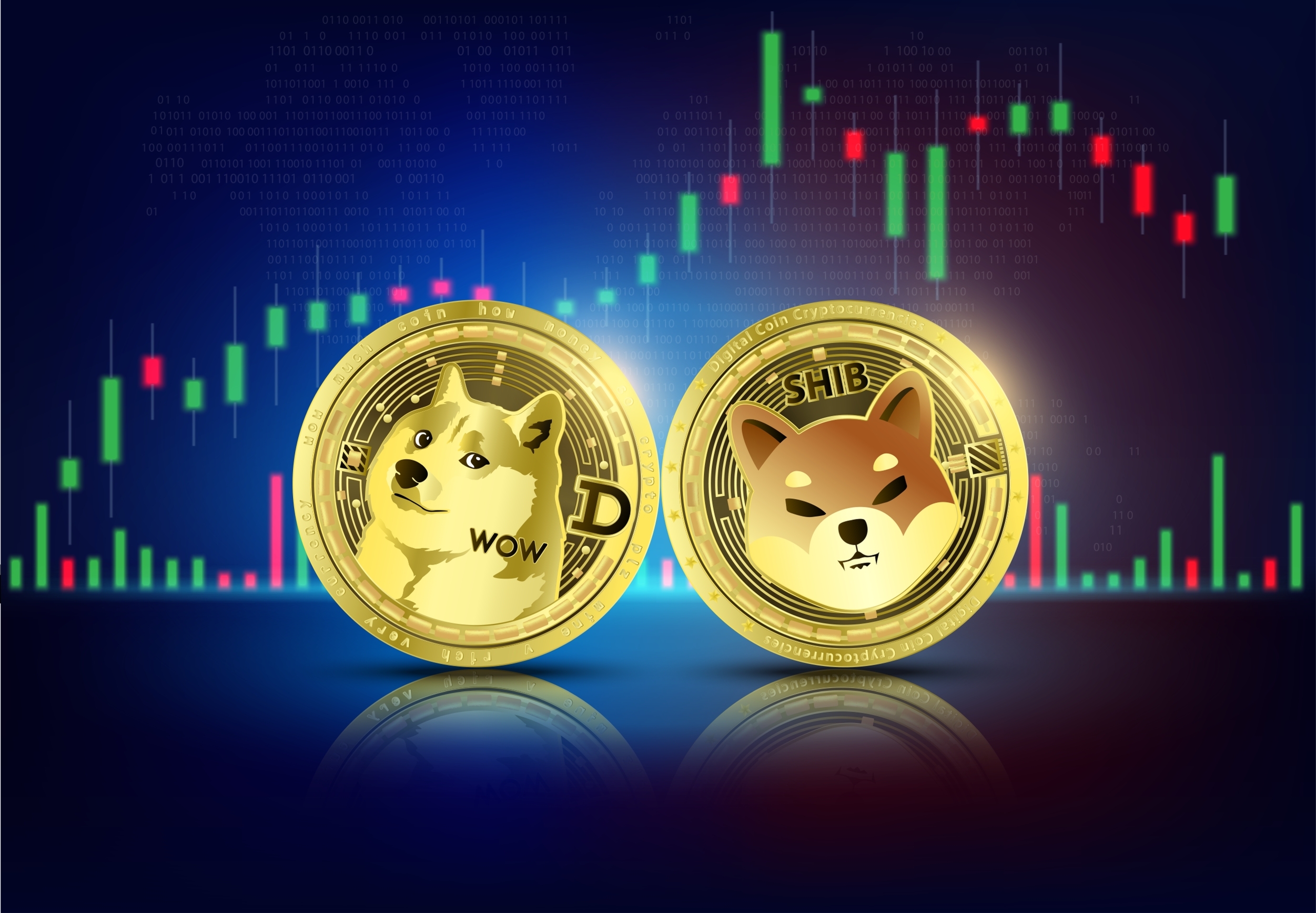 Shiba Inu vs Dogecoin