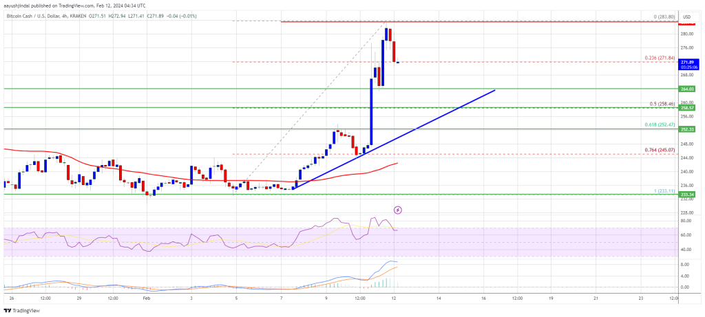 Bitcoin Cash Price