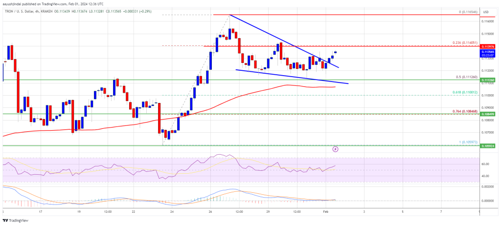 Tron Price Prediction