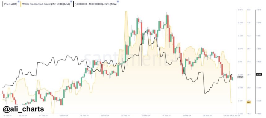 Cardano Price