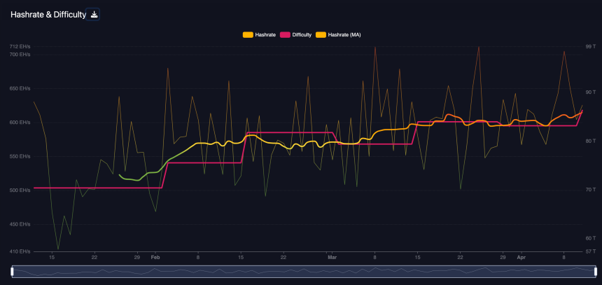 Bitcoin Hashrate and Difficulty Level.