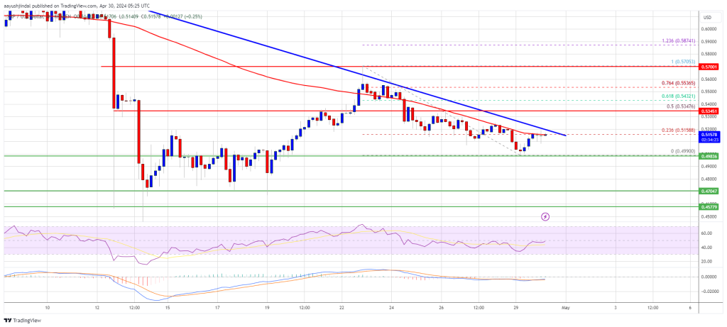 XRP Price Prediction