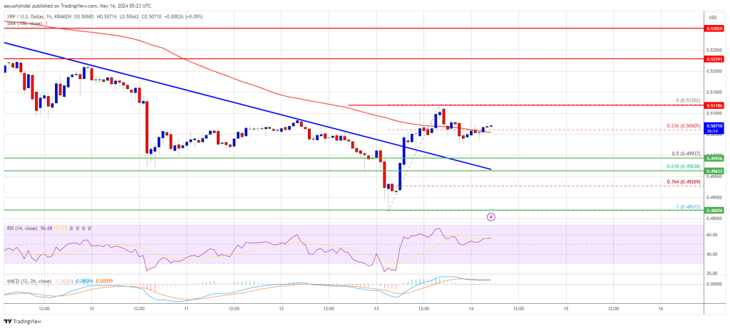 XRP Price