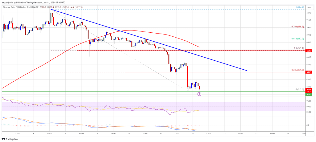 BNB Price