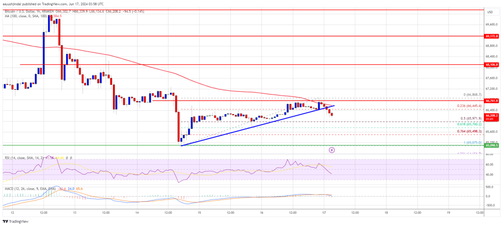 Bitcoin Price