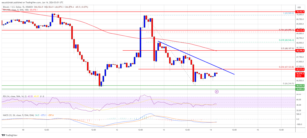 Bitcoin Price