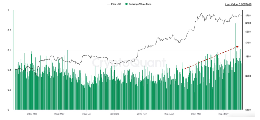 Bitcoin Exchange Whale Ratio. 