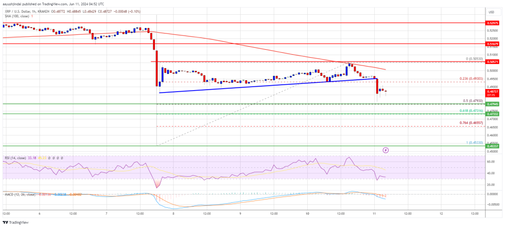 XRP Price