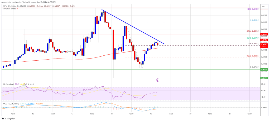 XRP Price