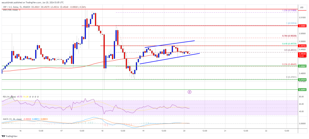 XRP Price