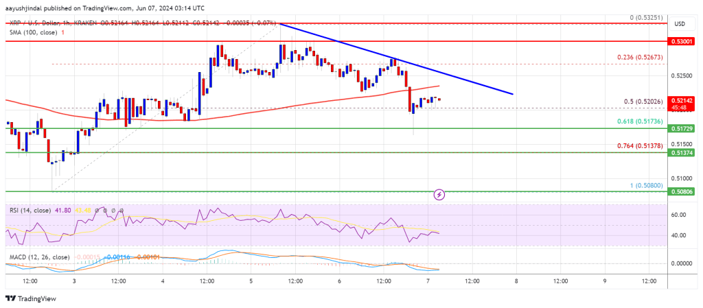 XRP Price