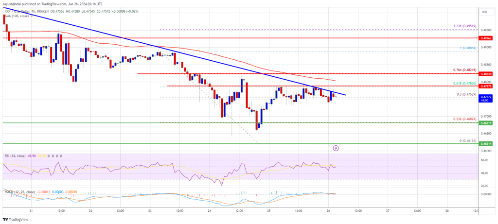 XRP Price