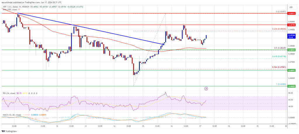 XRP Price