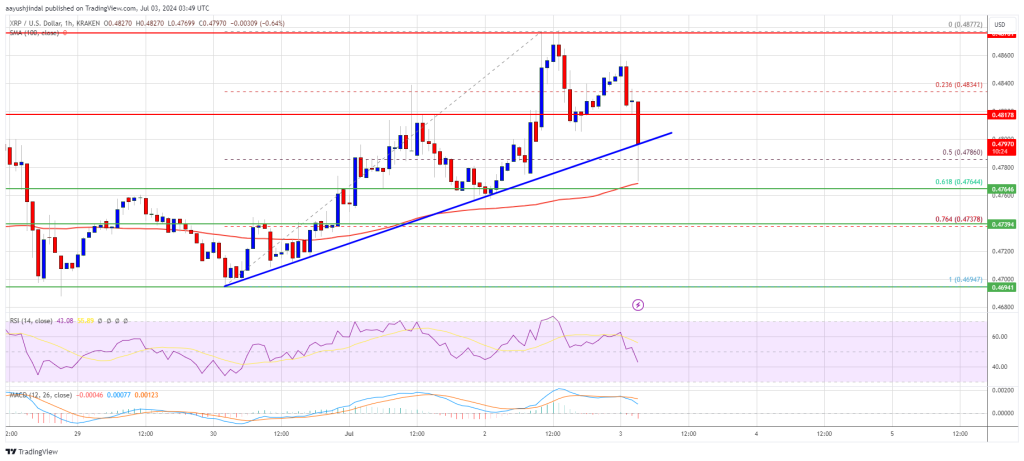 XRP Price 