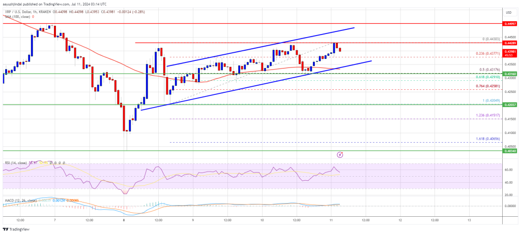 XRP Price