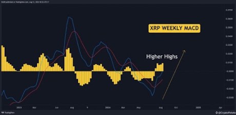 XRP price