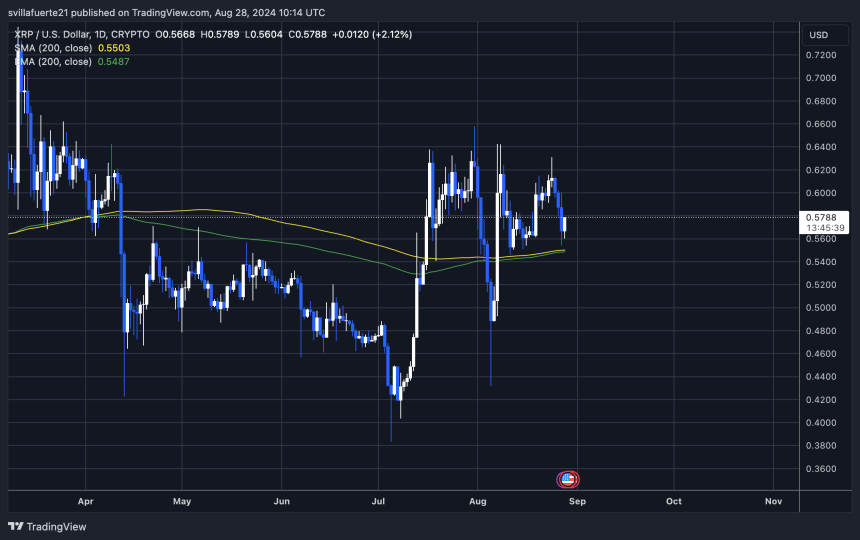 XRP holding above its 1D 200 MA.