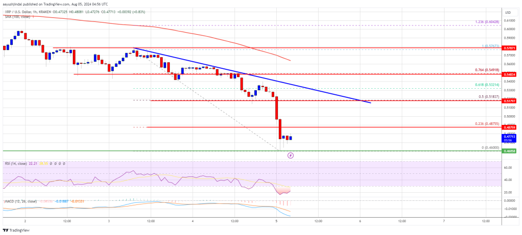 XRP Price