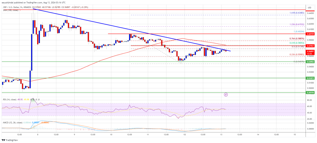 XRP Price