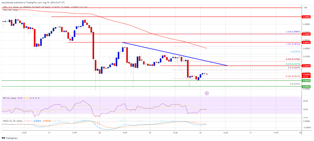 XRP Price