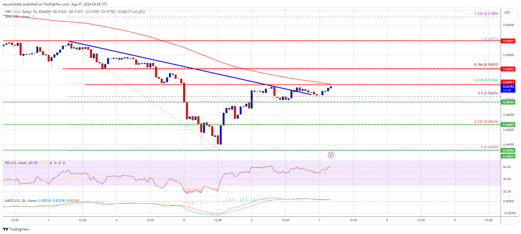 XRP Price