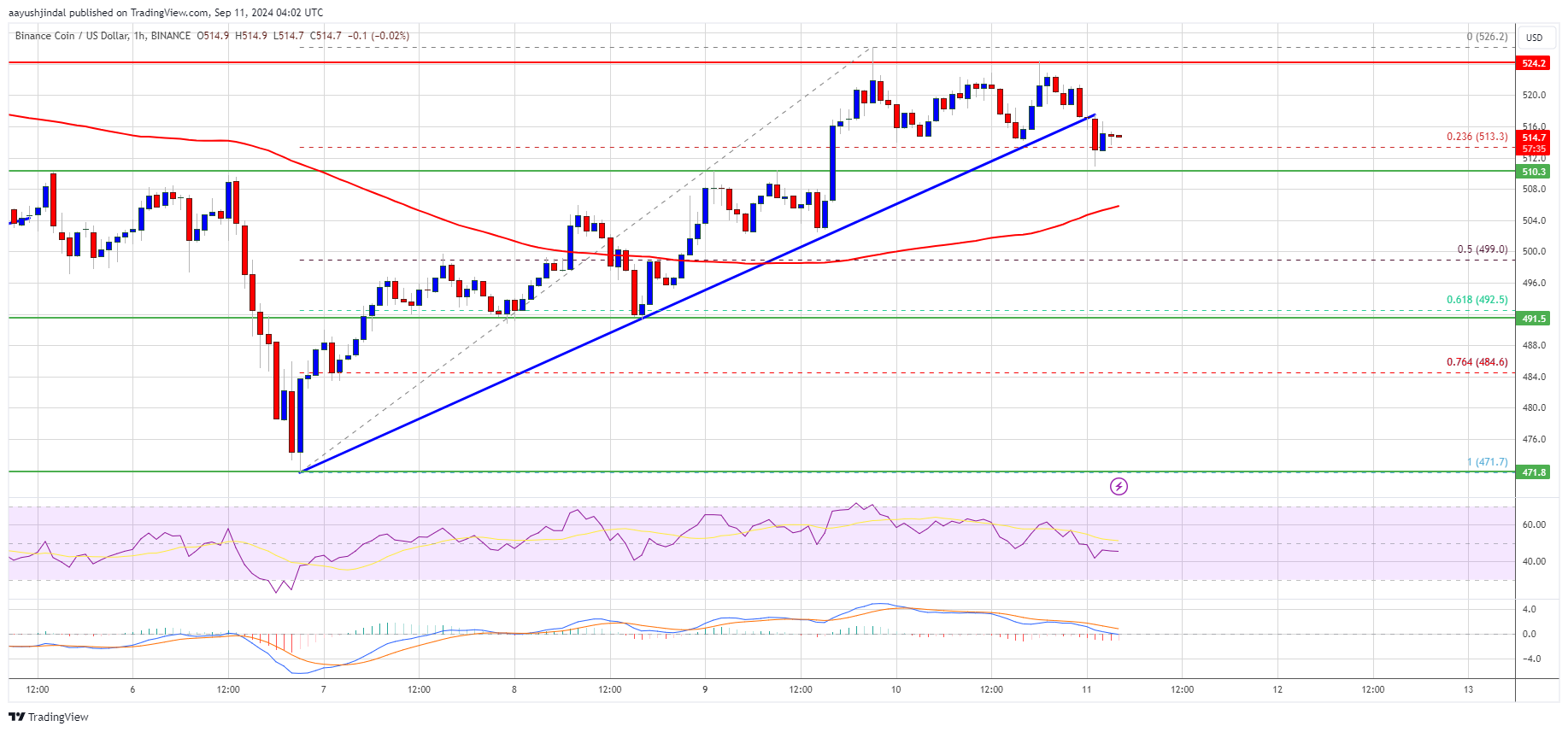 Precio del BNB