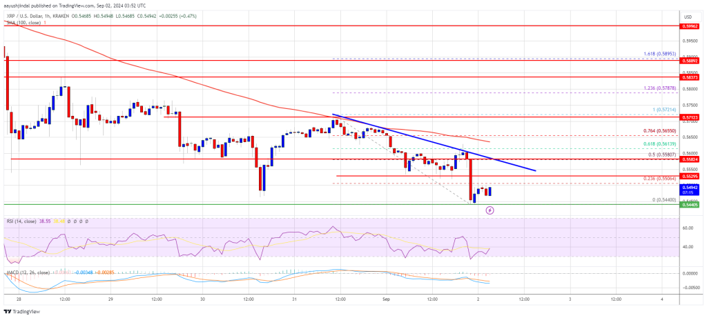 XRP Price Struggles