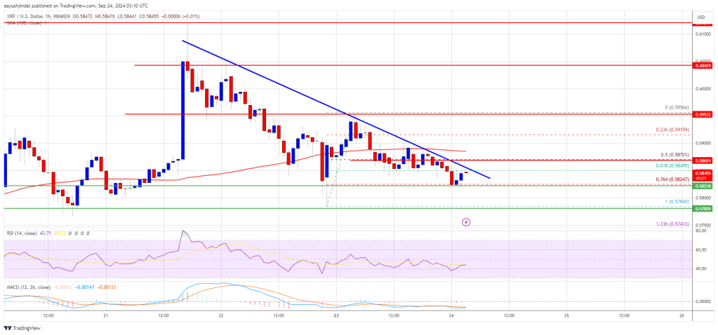 XRP Price