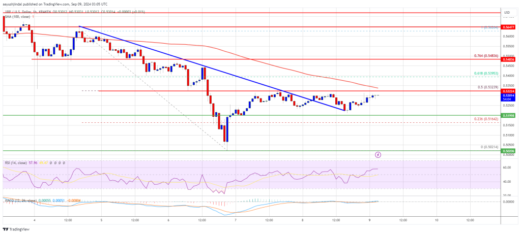 XRP Price